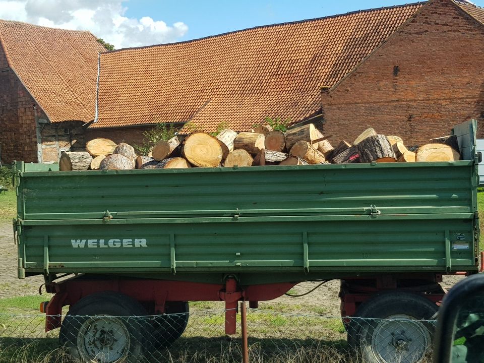 Ich biete 10 echte rm trockenes Brennholz/ kaminholz in Leiferde