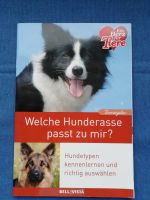 Welcher Hund passt zu mir - Hundetypen kennenlernen - Welpen Bayern - Trogen Vorschau