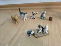 Schleich Katzen mit Zubehör Bochum - Bochum-Südwest Vorschau