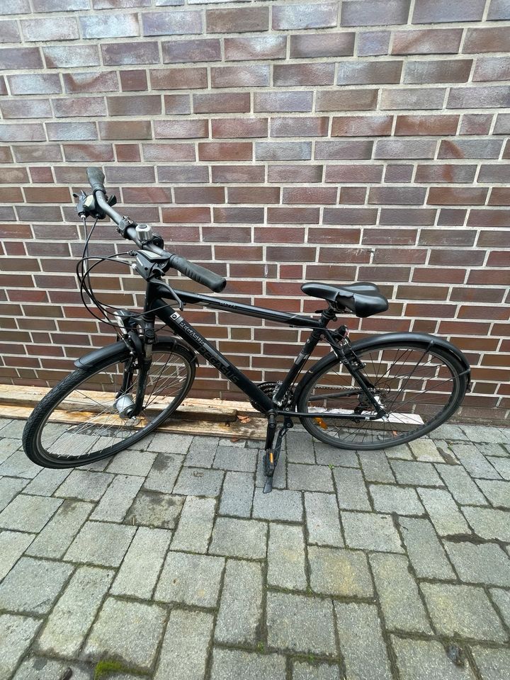 Pegasus City Fahrrad in Westerstede