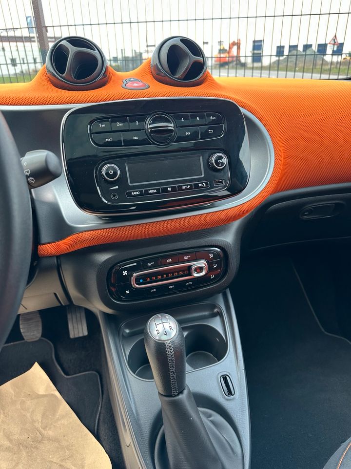 SMART FORFOUR 1,0 - TÜV NEU - GEPFLEGT - PANORAMA in Sande