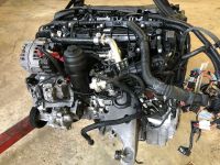 BMW E70 E71 X5 X6 40d Motor N57D30B 306Ps Komplett Engine Rheinland-Pfalz - Hachenburg Vorschau