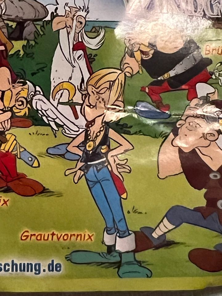 FERRERO ASTERIX UND DIE WIKINGER GRAUTVORNIX MIT BPZ Ü EI 2007 in Rheinstetten