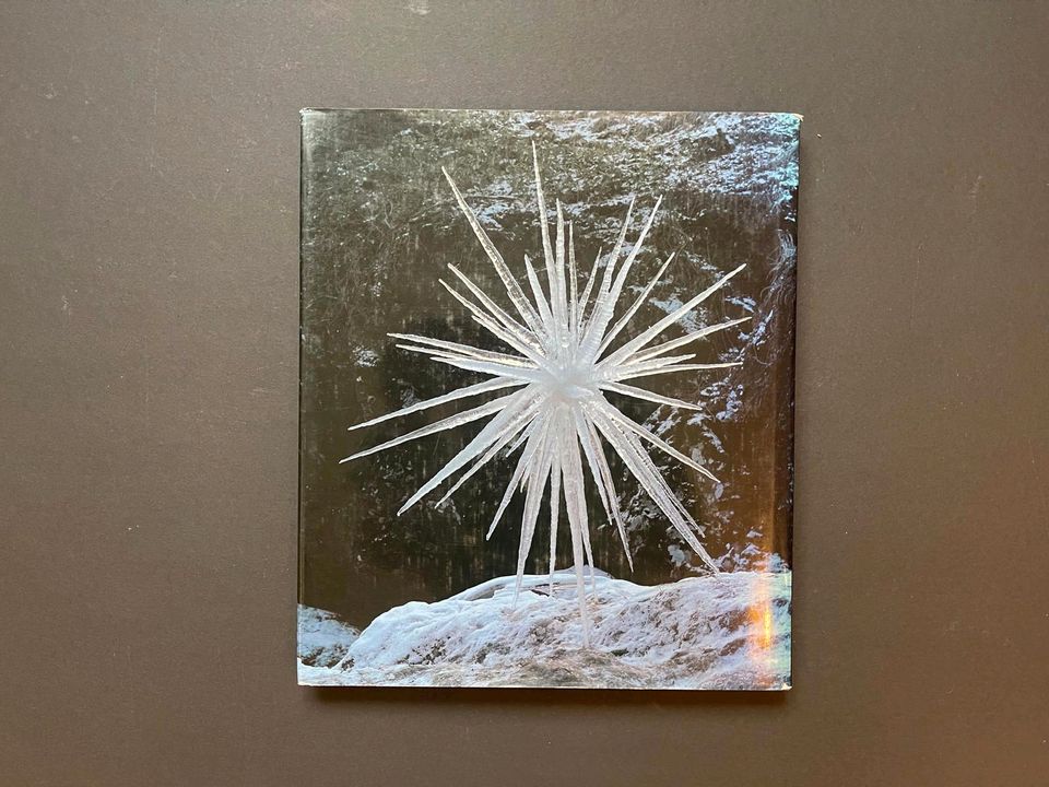 Andy Goldsworthy - Zweitausendeins 9. Auflage 1998 Kunstbuch in Andernach