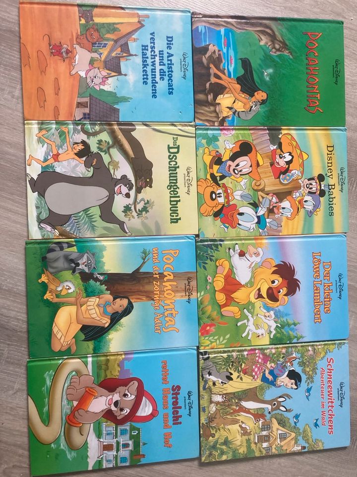 Bilderbücher u.a. Disney in Langquaid