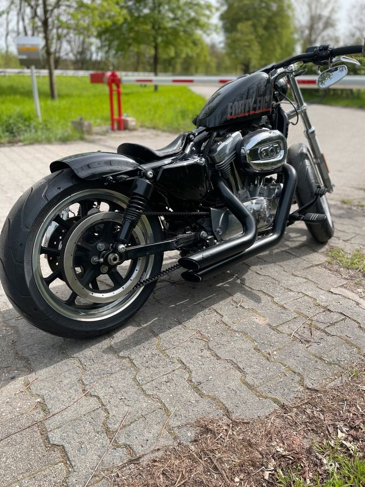 Harley Davidson Sportster 883 in Mörfelden-Walldorf