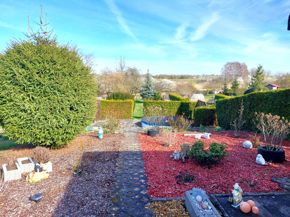 Schönes Einfamilienhaus in Osternienburg mit großem Grundstück in Osternienburger Land