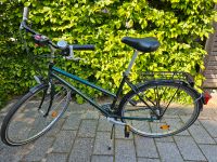 Fahrrad Citybike Herzogtum Lauenburg - Wentorf Vorschau