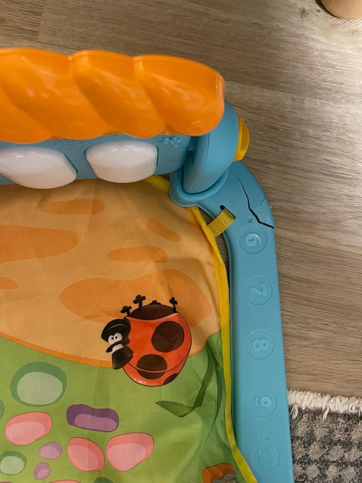 Baby Spielbogen,Spielmatte, Spieldecke mit Musik in Weyhe