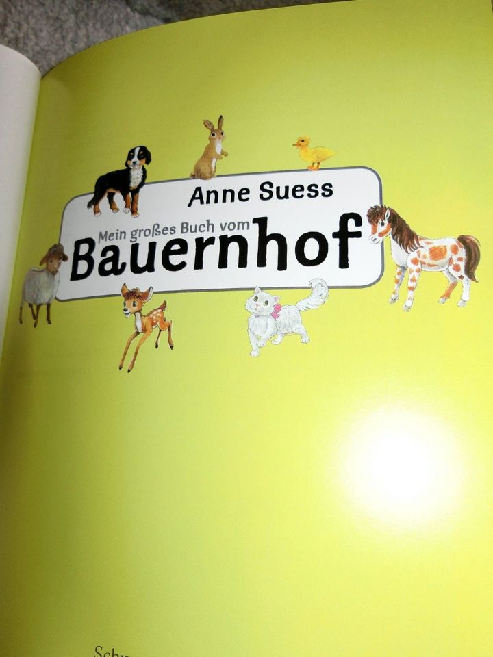 2x Kinder Buch TIERKINDER Geschichten BAUERNHOF ab 3J. Anne Suess in Dettingen an der Iller