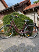 Fahrrad Rabeneick 28 Zoll Niedersachsen - Aschendorf Stadt Papenburg Vorschau