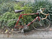 Vintage Raleigh Rapide Rennrad Nordrhein-Westfalen - Kleve Vorschau