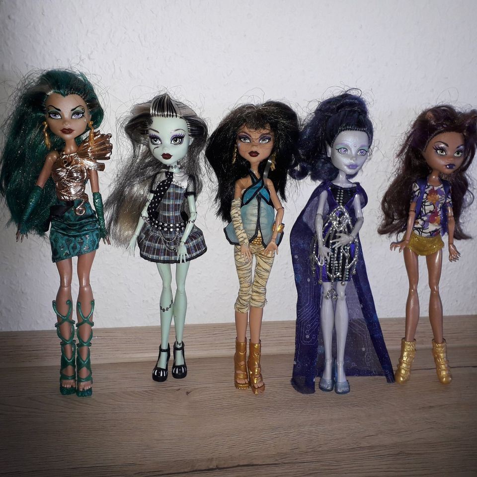 Monster High  Puppen Konvolut in Eberswalde