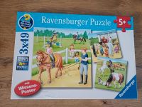 Puzzle Pferde Bayern - Thüngersheim Vorschau