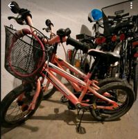Kinder Fahrrad Brandenburg - Panketal Vorschau