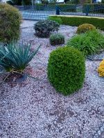 Steine Deko Garten Kies zu verschenken Niedersachsen - Herzberg am Harz Vorschau