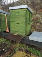 Bienenvolk mit Beute und Zubehör (Komplettset) Hessen - Bebra Vorschau