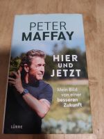 Peter Maffay Hier und Jetzt Niedersachsen - Goslar Vorschau