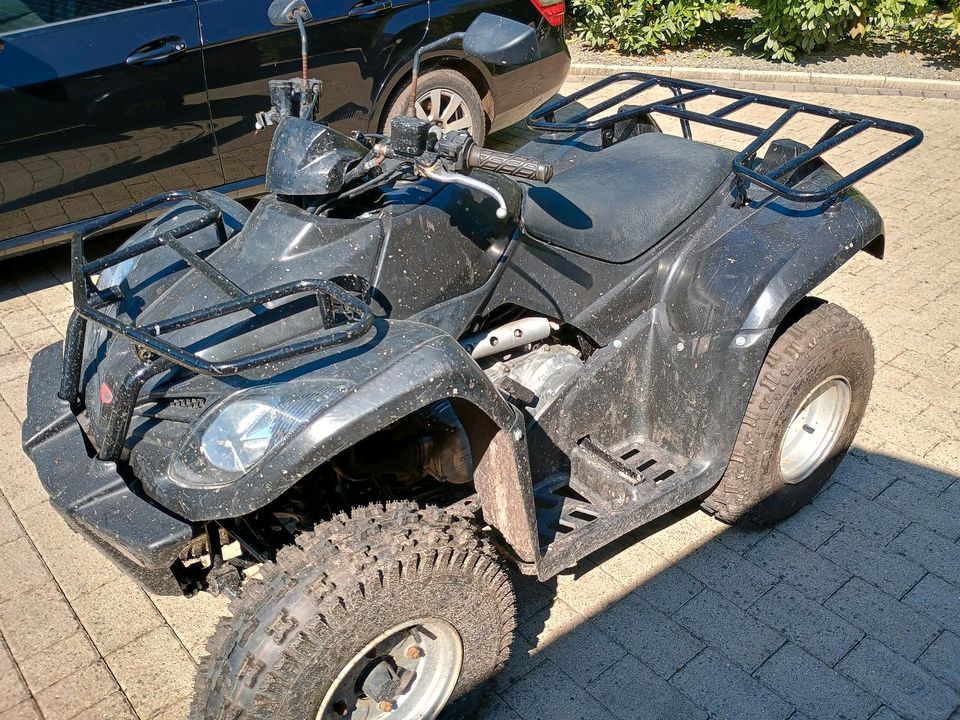 Quad Kymco mxu 300 in Westerholt