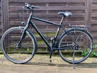 Neuwertiges Raleigh Fahrrad 28 Zoll zu verkaufen Nordrhein-Westfalen - Bornheim Vorschau