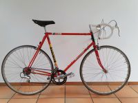 Raleigh Professional Vintage Rennrad 1980 Nordrhein-Westfalen - Remscheid Vorschau