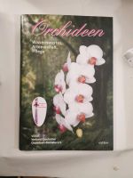 Orchideen - Wissenswertes, Artenvielfalt, Pflege Brandenburg - Guben Vorschau