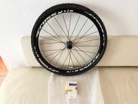 Mavic Crossroc Disc WTS 27,5 650b Vorderrad Reifen 15x100 oder QR Hessen - Offenbach Vorschau