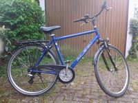 Trekking-Fahrrad zu verkaufen Nordrhein-Westfalen - Steinfurt Vorschau