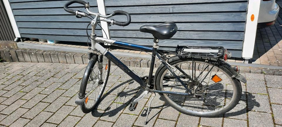 Fahrrad Rabeneick Herren 28 Zoll 24 Gänge TOP-Zustand + Taschen in Aschaffenburg