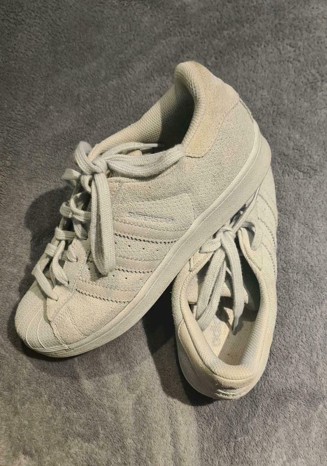 Adidas Superstar Wildleder babyblau Gr. 36 2/3 in Wandsbek - Hamburg  Jenfeld | eBay Kleinanzeigen ist jetzt Kleinanzeigen