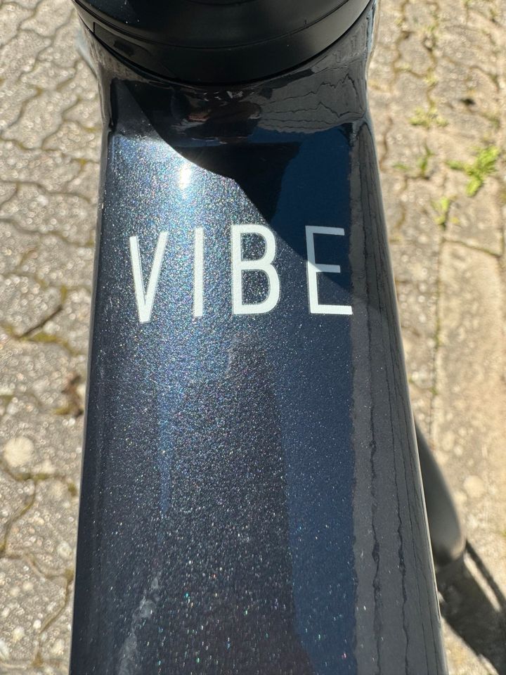 Orbea Vibe h30 Ebike 1A Zustand Sram GX Touren Trekking in Deidesheim