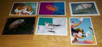 6 Sammelsticker / Sammelbilder "Was ist was" (Disney) Rewe Hannover - Linden-Limmer Vorschau