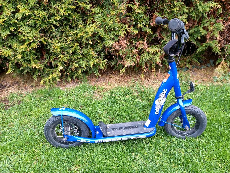 Kinderroller Scooter von bikestar germany blau in Baden-Württemberg -  Ladenburg | Spielzeug für draussen günstig kaufen, gebraucht oder neu |  eBay Kleinanzeigen ist jetzt Kleinanzeigen
