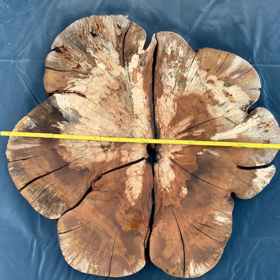 Baumscheibe aus Buche, Buchenholz, Tischplatte, XL in Hainichen