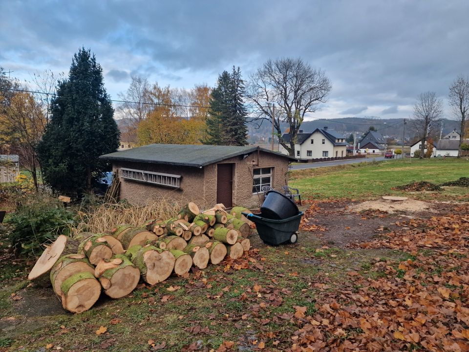 Interessantes Objekt in ländlicher Lage! in Olbernhau