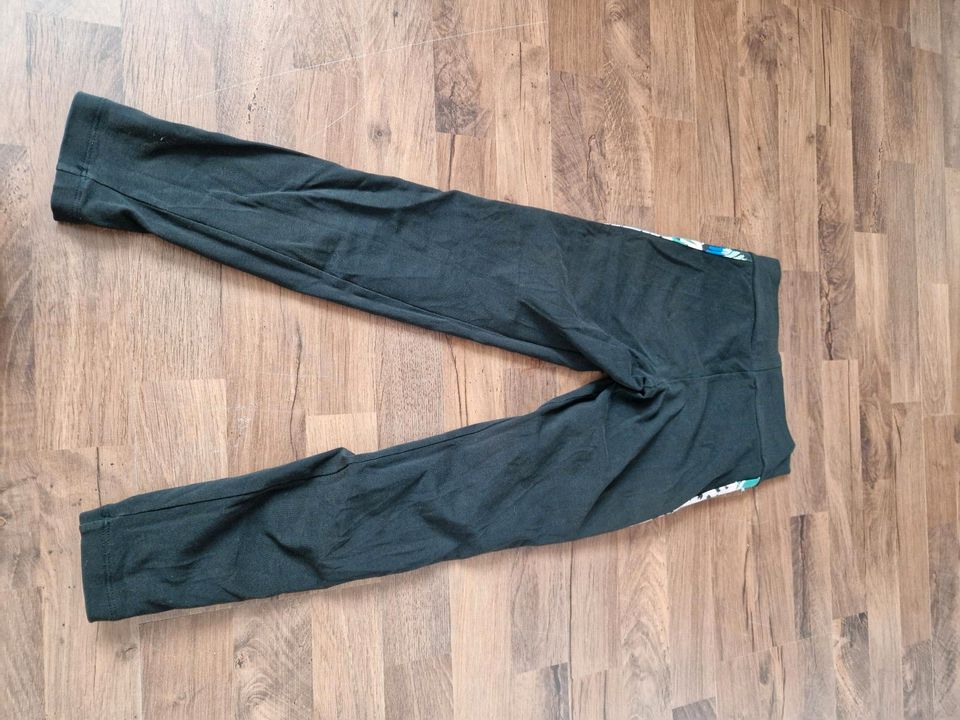 Adidas Sport Hose in Wiemersdorf