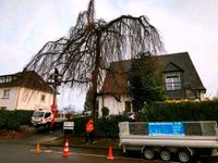 Sturmschaden / Baumfällung / Baumpflege / Heckenschnitt Nordrhein-Westfalen - Remscheid Vorschau