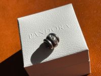 Original Pandora Charm 79328CCZ,  Steinbesatz und Originalver. Niedersachsen - Winsen (Aller) Vorschau