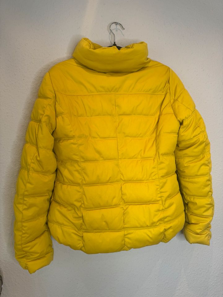 Peckott Jacke Steppjacke in Freiburg im Breisgau