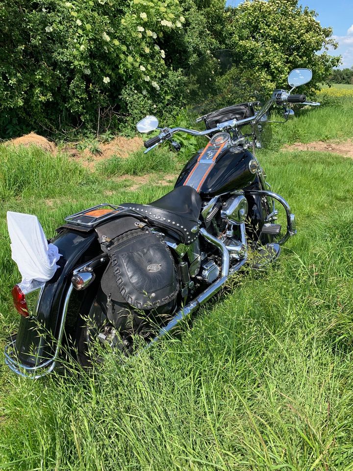 Springer Softail in Hattersheim am Main