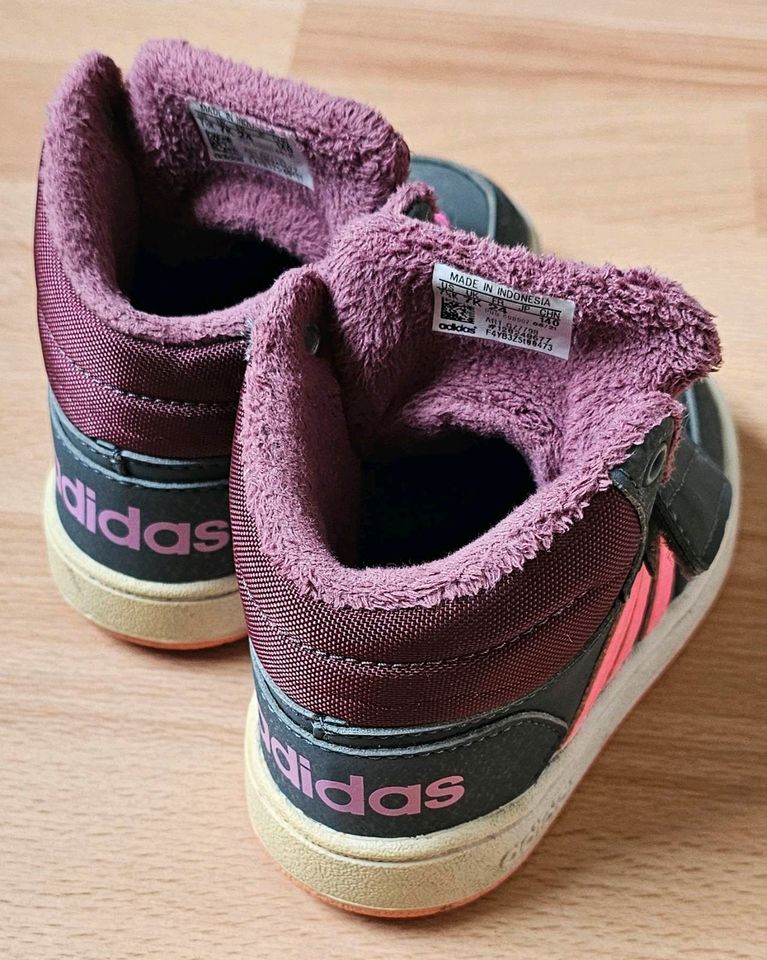 Adidas Schuhe Größe 24 in Roth b Hamm