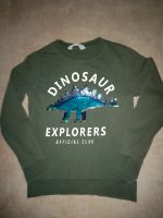 H&M Sweatshirt Pulli Dinosaur Gr.122/128/7-8J. Wendepailletten ol Bayern - Bad Neustadt a.d. Saale Vorschau