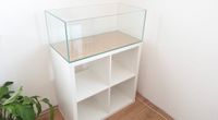 Kallax Aquarium 76,5x39x30cm 90L OptiWhite Komplett 199,99€ Hamburg-Mitte - Hamburg Horn Vorschau