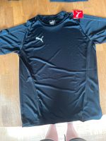 Puma Sportshirt Nordfriesland - Husum Vorschau