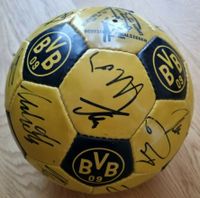 Borussia Dortmund Autogrammball Saison 1994/95 Rheinland-Pfalz - Ingelheim am Rhein Vorschau