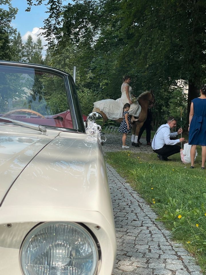 Ford Mustang Cabrio V8 Cabrio White mieten - Hochzeit, JGA in Pirna