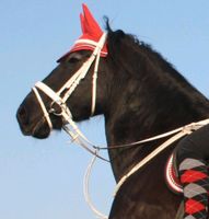 Trense Weiß Warmblut Niedersachsen - Westoverledingen Vorschau