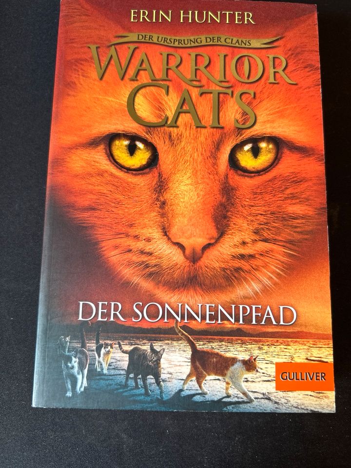 Warrior Cats - Staffel 5 Band 1-3 in Osnabrück