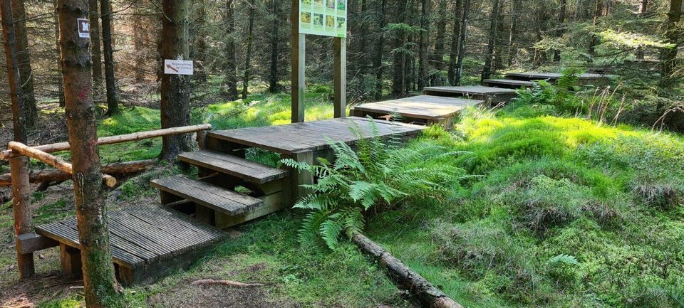 Kellerwald - Edersee / Kurhessisches Bergland Ferienwohnung/Sauna in Jesberg