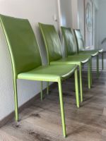 4 Stühle, grün, bequem, stapelbar Frankfurt am Main - Rödelheim Vorschau